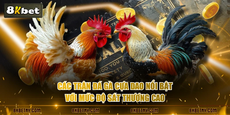 Đá Gà Cựa Dao Là Gì? Điểm Mặt Các Linh Kê Huyền Thoại 2 Các trận đá gà cựa dao nổi bật với mức độ sát thương cao